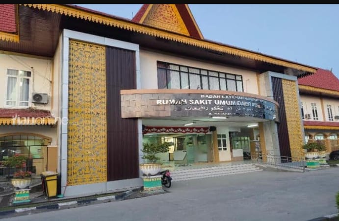 Saat Pusat “Menahan” Dana Daerah, Semua Bungkam. Giliran Dokter Spesialis Belum Dibayar, Bupati Siak Dihujat