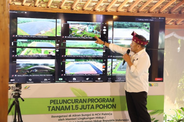 Menteri LH Apresiasi Dekarbonisasi PTPN IV PalmCo, Limbah Sawit Disulap Jadi Energi