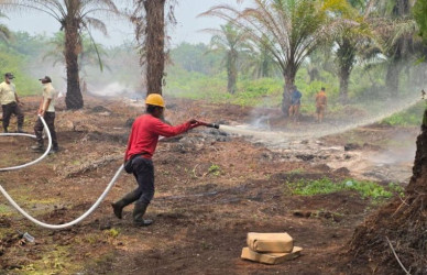 Personel Damkar PTPN IV Regional III Bantu Atasi Karhutla di Areal Masyarakat