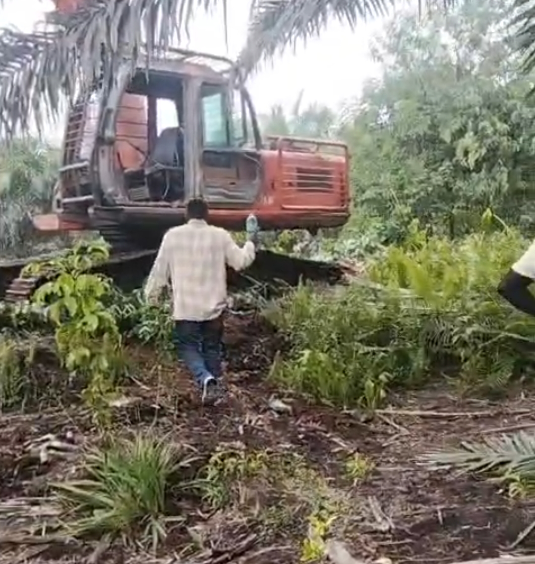 Menejemen PT.DSI Sebut Legalitas Pemilik lahan udah di Batalkan Oleh PN Siak.